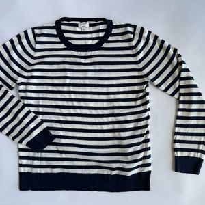 J Crew Navy Striped Teddie Sweater Size Large